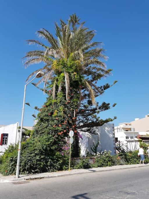 Heart Of Apartment Kissamos